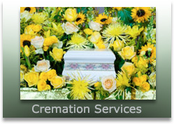 Cremation Options